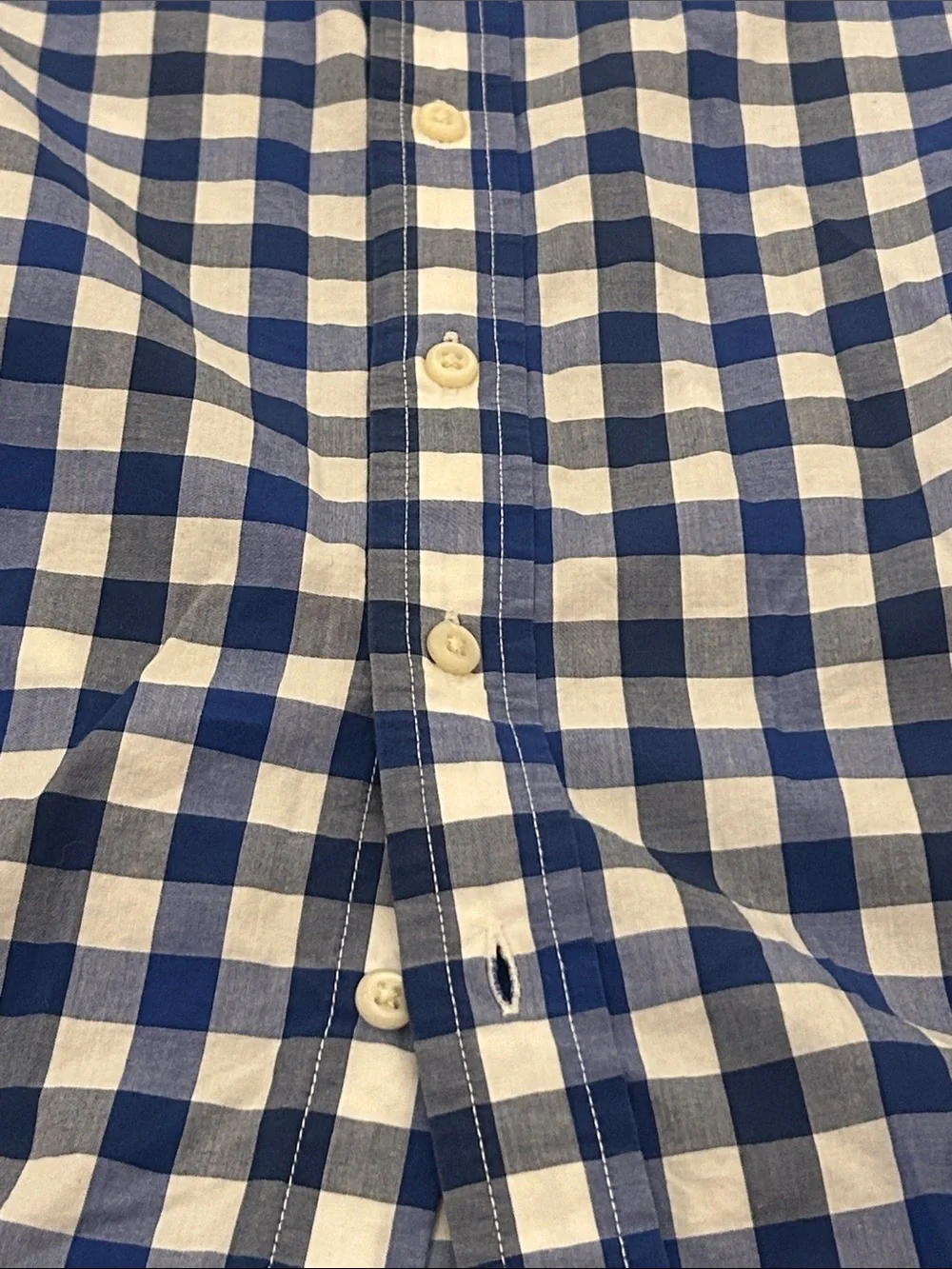 Ralph Lauren Blue and White Gingham Button-Down Shirt